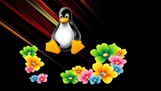 1175749 (a): :1920x1080
